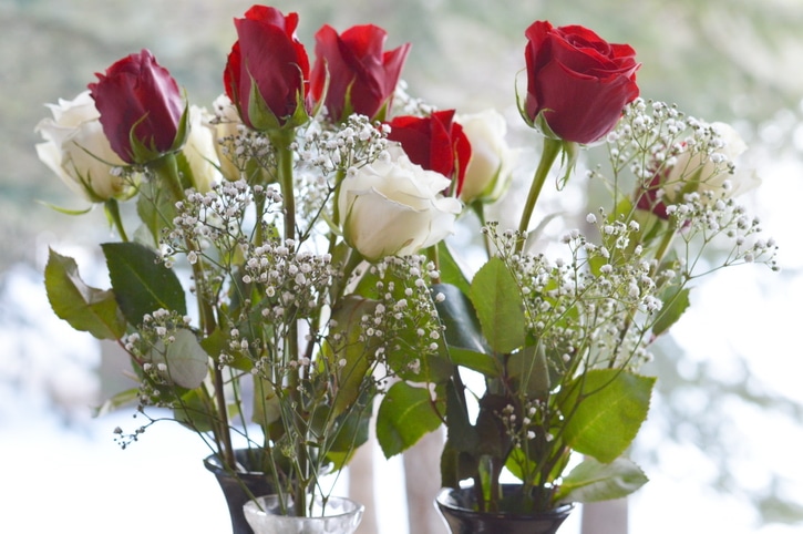 Red and white roses in a bouquet