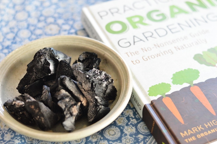 Charcoal and a book about organic gardening