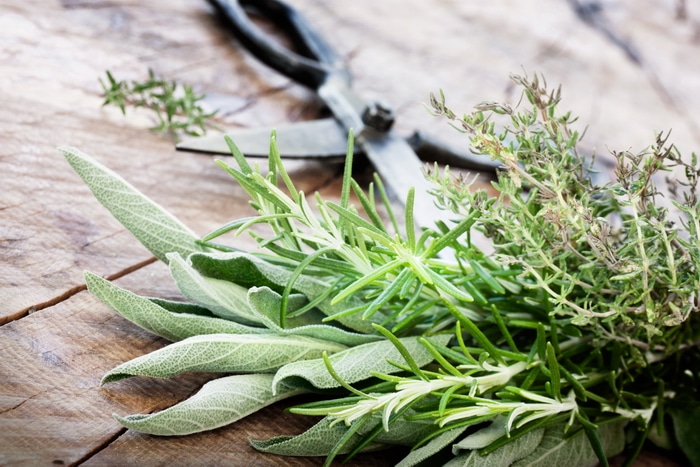Freshly cut sage, rosemary and thyme for natural all-purpose cleaner