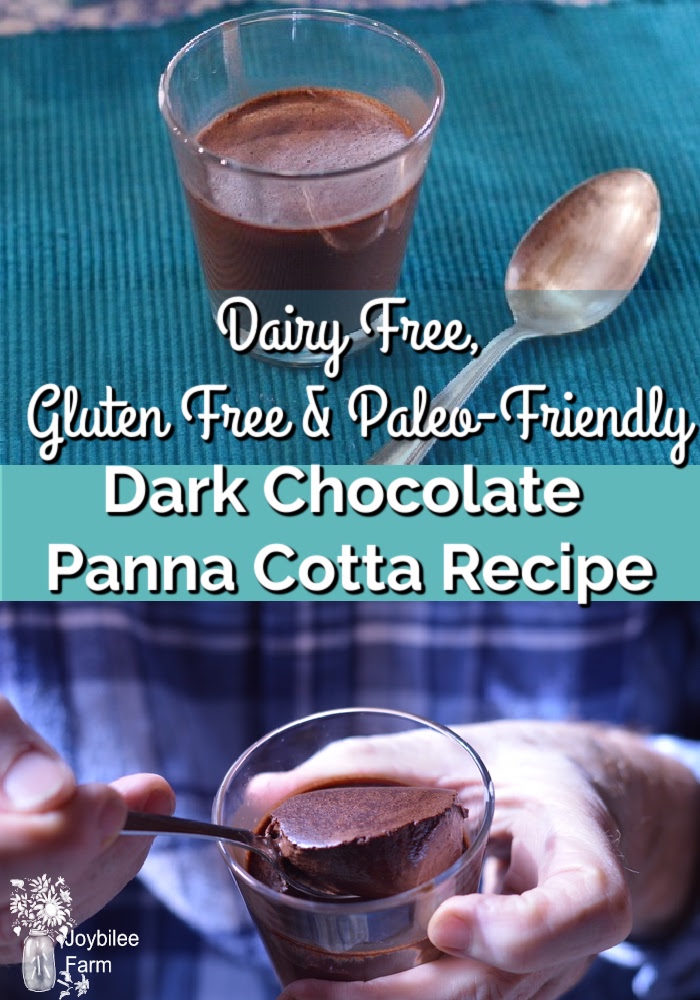 dark chocolate panna cotta
