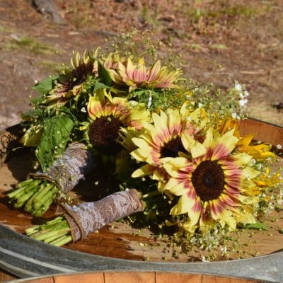 How to Grow Sunflowers for a Memorable Outdoor Wedding