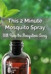This 2 Minute Mosquito Spray Will Keep the Mosquitoes Away
