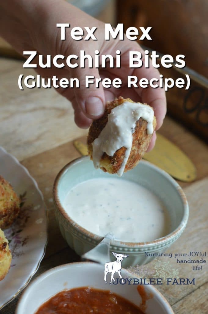 Zucchini bites with ranch dressing.