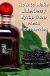 A bottle with elderberry syrup and a small glass bowl with fresh elderberries