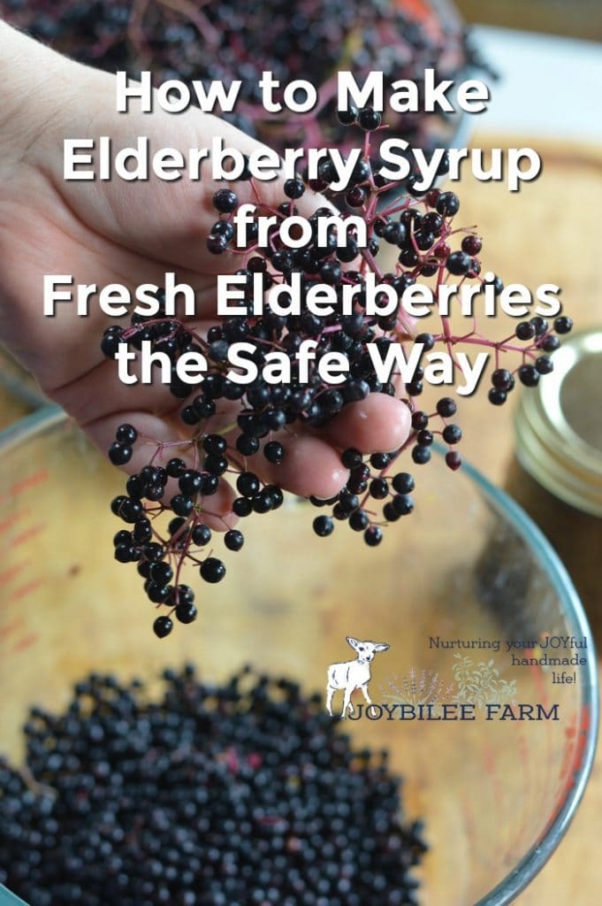 Elderberry syrup from fresh elderberries