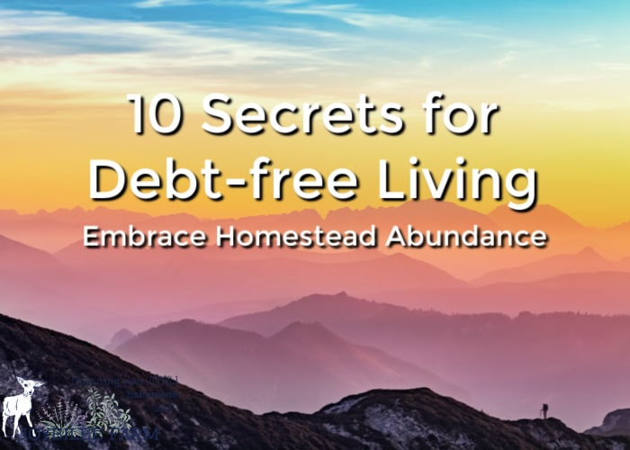 Debt free living is a lifestyle is full of homestead abundance. Take action to become debt-free, flip the switch in your mind and begin to see abundance in your life. 