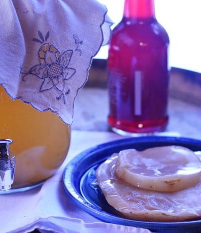 Kombucha in a dispensing pitcher and a plate with a couple of kombucha scoby on it