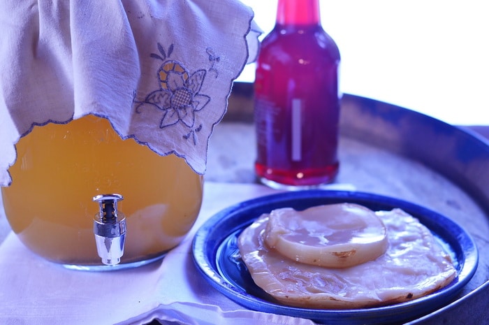 Kombucha in a dispensing pitcher and a plate with a couple of kombucha scoby on it