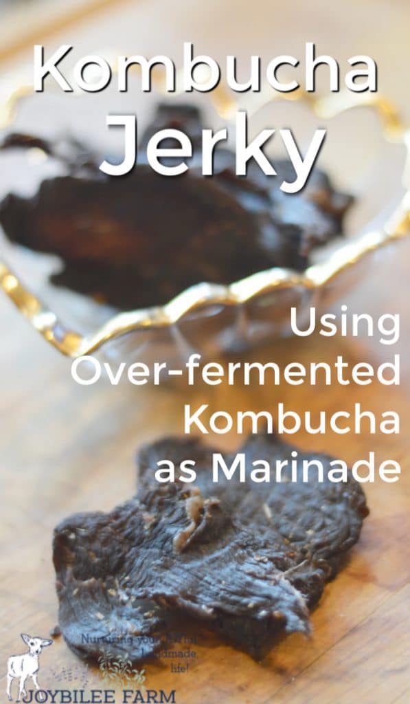 jerky prepared with a kombucha jerky marinade
