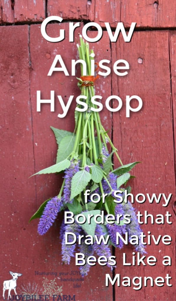 Anise Hyssop ties in a bundle on a red wooden board