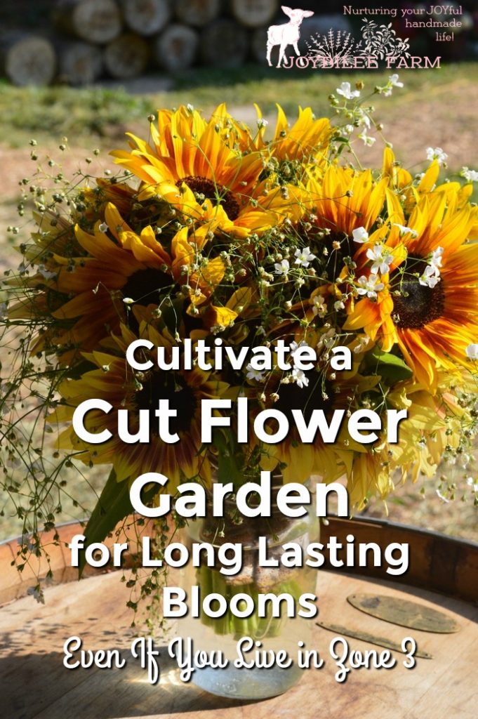 Cultivate A Cut Flower Garden For Long Lasting Blooms