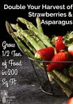 Asparagus and strawberries in a metal basket