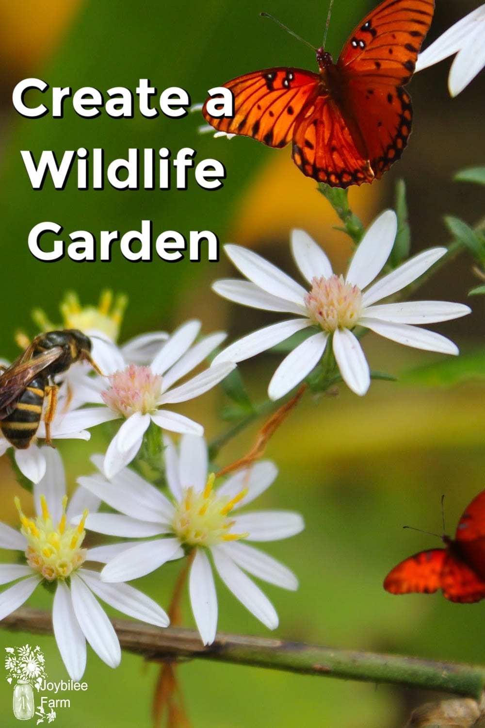 Create a Thriving Wildlife Garden and Attract Bees, and More