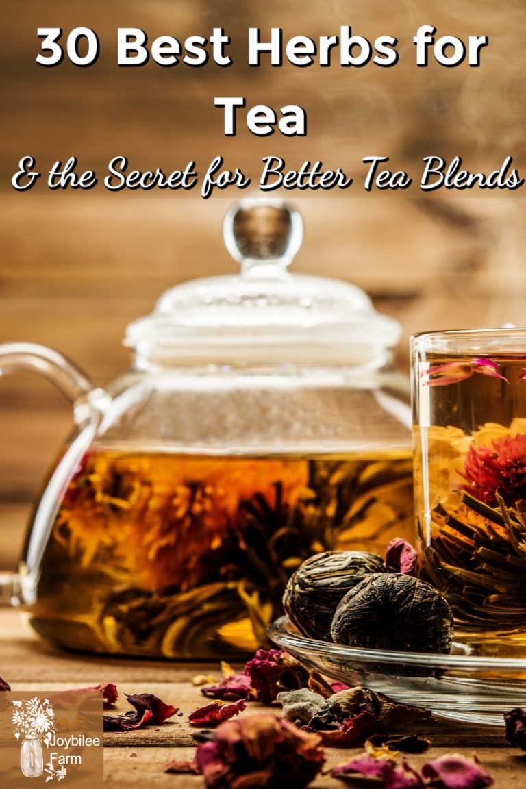 30 Best Herbs for Tea and the Secret for Better Tea Blends