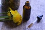 Fresh dandelions by a dropper and a dark glass vial full of dandelion and burdock bitters