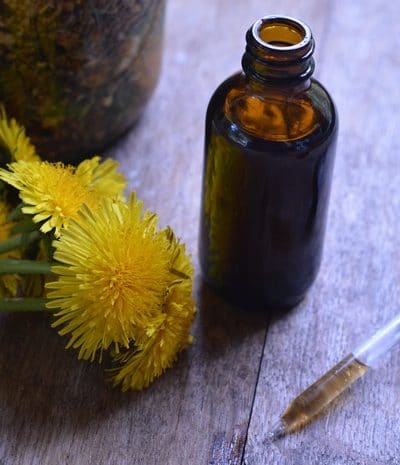 Fresh dandelions by a dropper and a dark glass vial full of dandelion and burdock bitters