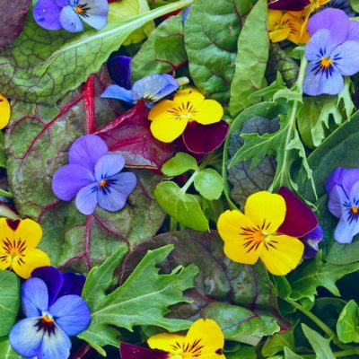 15 Things to Make with Edible Flowers to Raise Your Food to Gourmet Levels