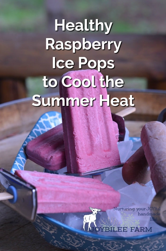 Homemade raspberry ice pops in a bowl with ice cubes