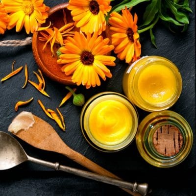 Make This Easy Calendula Ointment For Your First Aid Kit