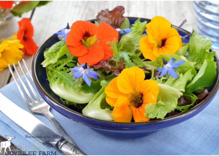 edible flowers in a salad