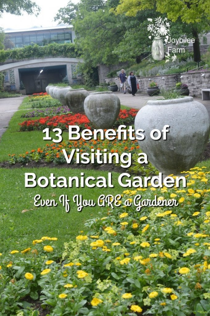 Gardeners of all levels can benefit from visiting a botanical garden during any season.  Botanical gardens are not just for city dwellers to connect with green spaces.  They also provide inspiration, education, and wonder for those who have their own garden at home.
