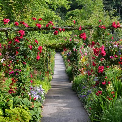 9 of Canada’s Best Botanical Gardens Every Gardener Should See Once, At Least