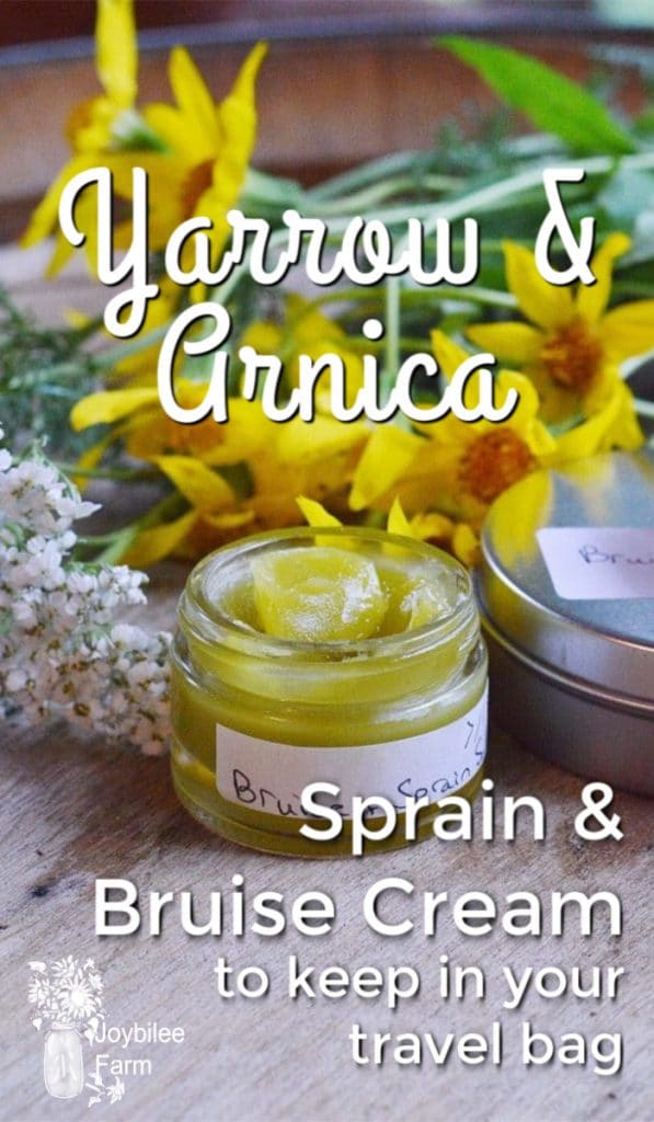 yarrow and arnica flowers with a jar of bruise cream