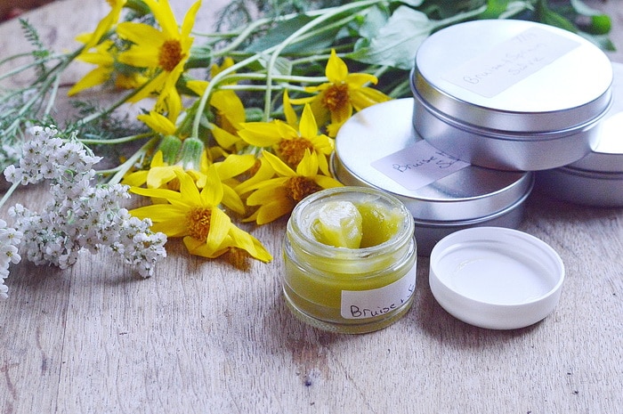 yarrow and arnica flowers with a jar of bruise cream