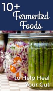 10+ Fermented Foods to Help Heal Your Gut