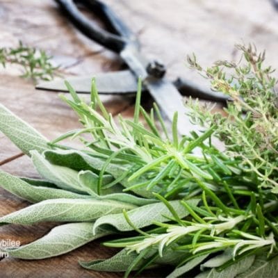 Homemade All-Purpose Cleaning Spray with Whole Herbs