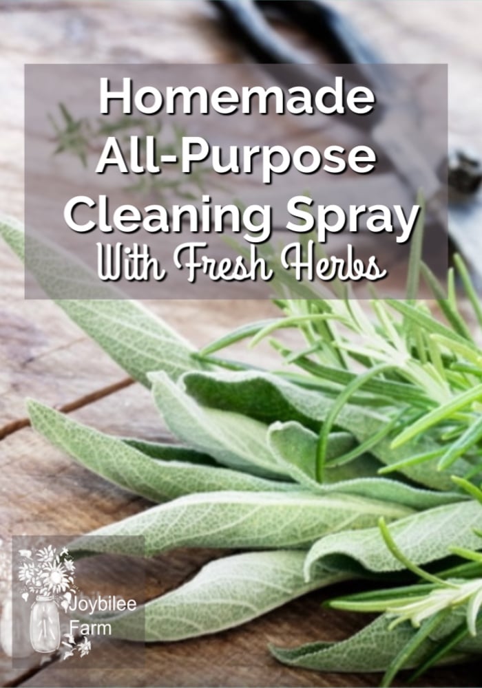 fresh sage, rosemary and thyme for app purpose cleaning spray
