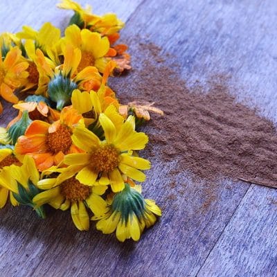 6 Ways to Use Cinnamon in the Garden to Prevent Disease and Increase Yields