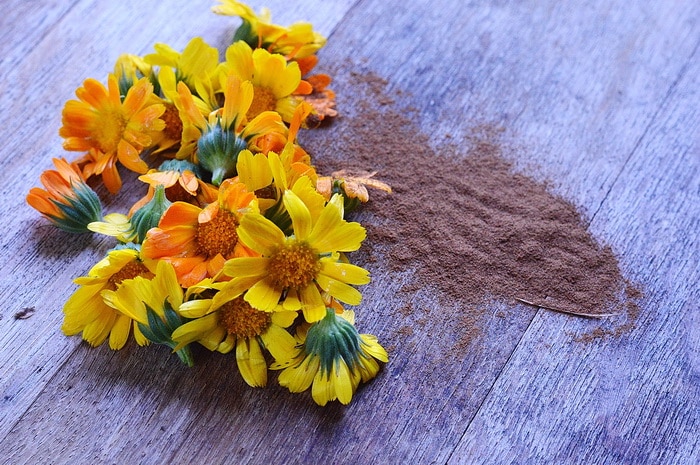cinnamon on a table with yellow flower petals. cinnamon in the garden