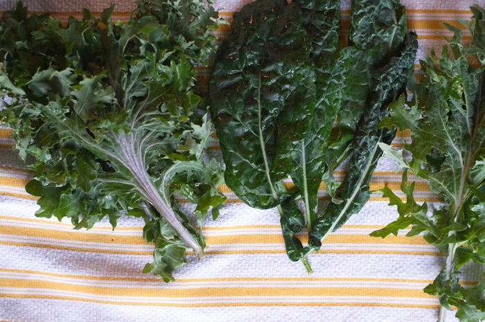 3 different types of freshly washed kale