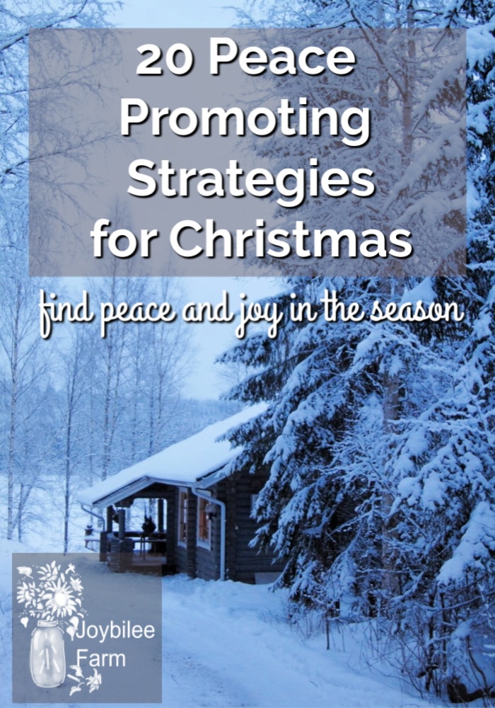 20 stress relief strategies you can do to keep your sanity and create a stress free holiday season. Don't get caught up in the hype.  Start planning early to have your most peaceful, least stressful Christmas ever.