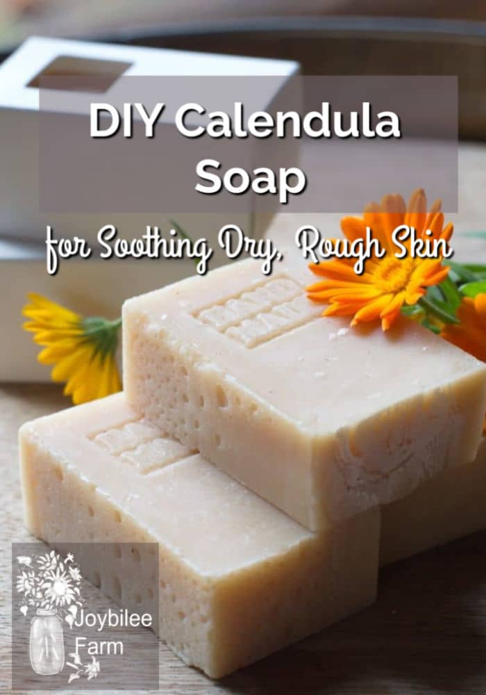 Calendula soap is a healing bar of soap for soothing dry, rough skin. Terrific after a day of working in the garden or for use during the dry winter months when hands tend to become chapped.