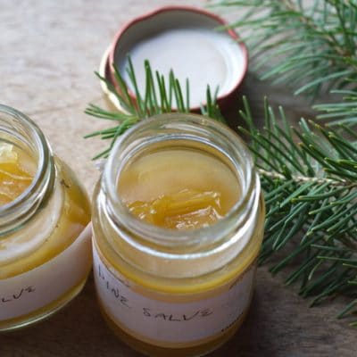 How to Make Pine Pitch Salve on the Homestead