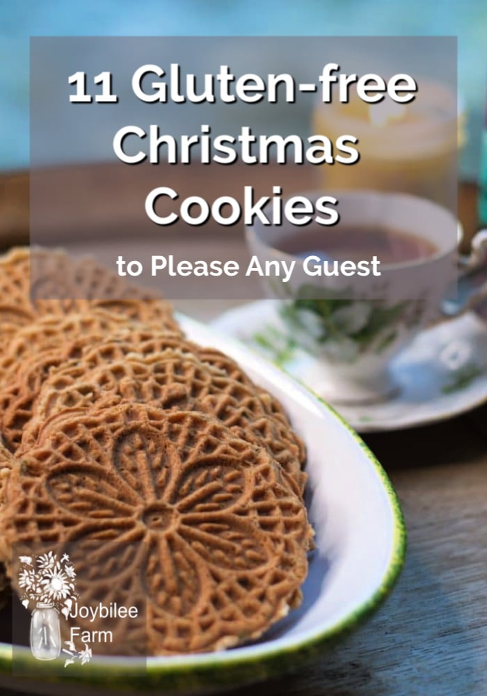 Snacking on holiday treats may be as popular with your family as the main course. These gluten-free Christmas cookies will please everyone at the table.