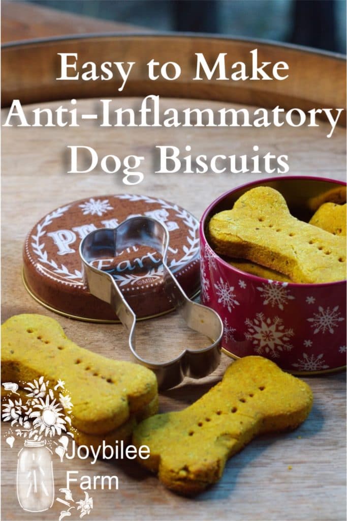 dog biscuits in a tin with the cookie cutter beside them.