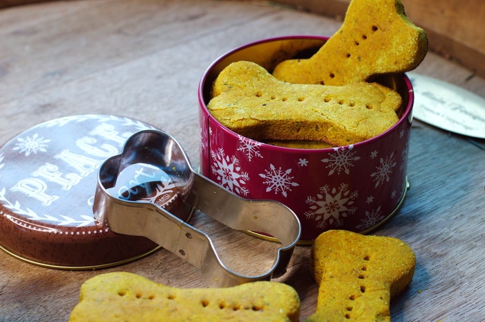 dog biscuits as a gift for your pet