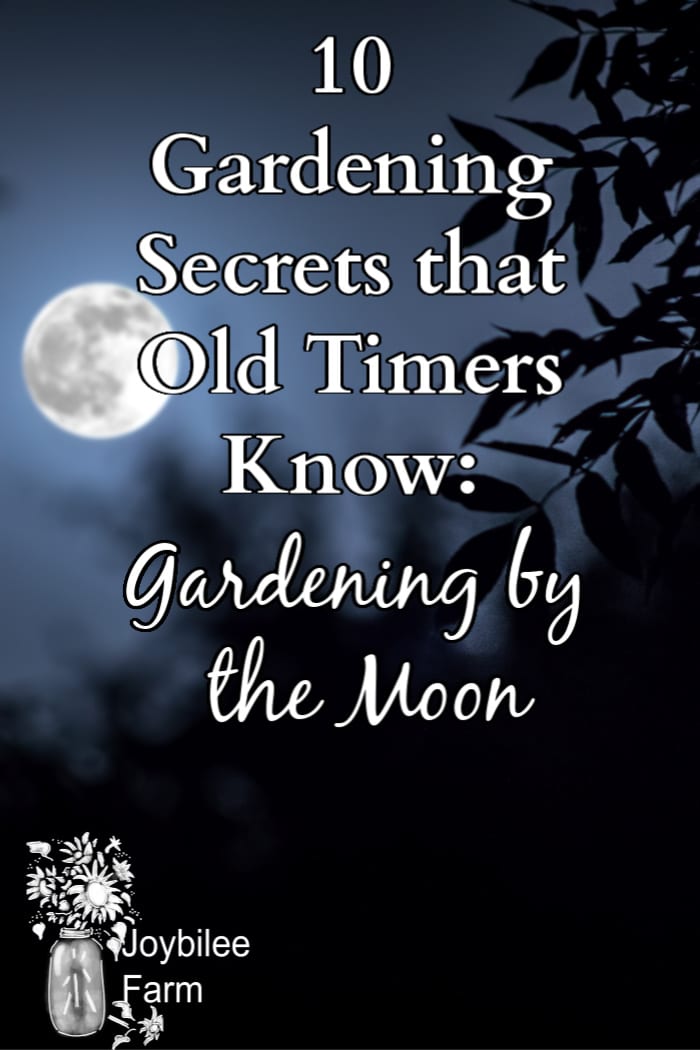 image of the moon with silouetted leaves and the text "10 gardening secrets that old timers know: gardening by the moon"