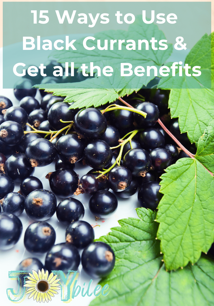 15 Ways To Use Black Currants And Get All The Black Currant Benefits