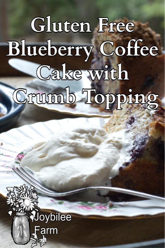 blueberry coffee cake on a serving plate with whipped cream