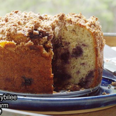 Gluten Free Blueberry Coffee Cake with Crumb Topping