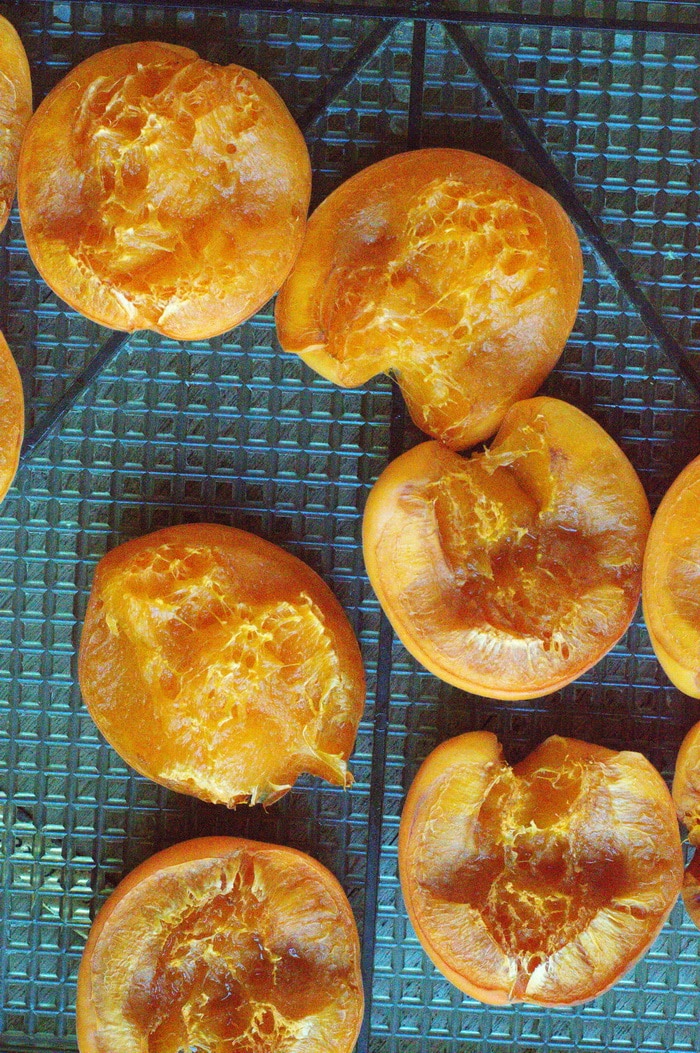 fresh apricots on a dehydrator tray