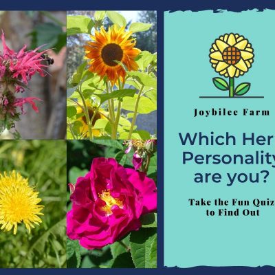 Which Herb Personality are You?