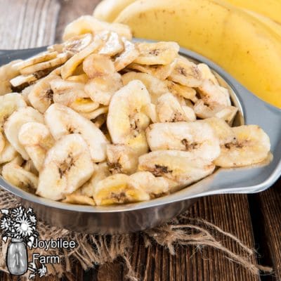 Homemade Chewy Banana Chips in Your Dehydrator