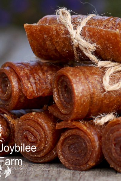 fruit leather rolls tied with twine