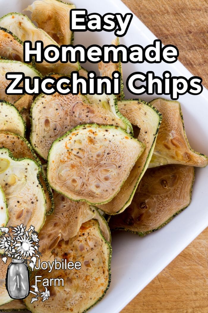 zucchini chips on a white plate