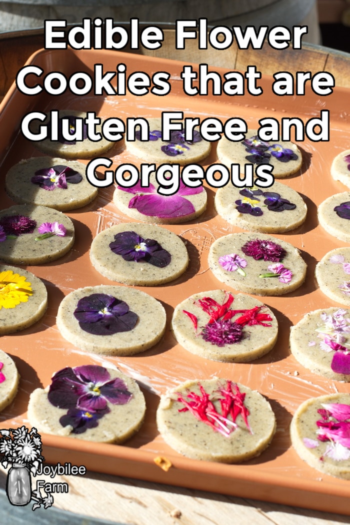 gluten free flower cookies ready for baking